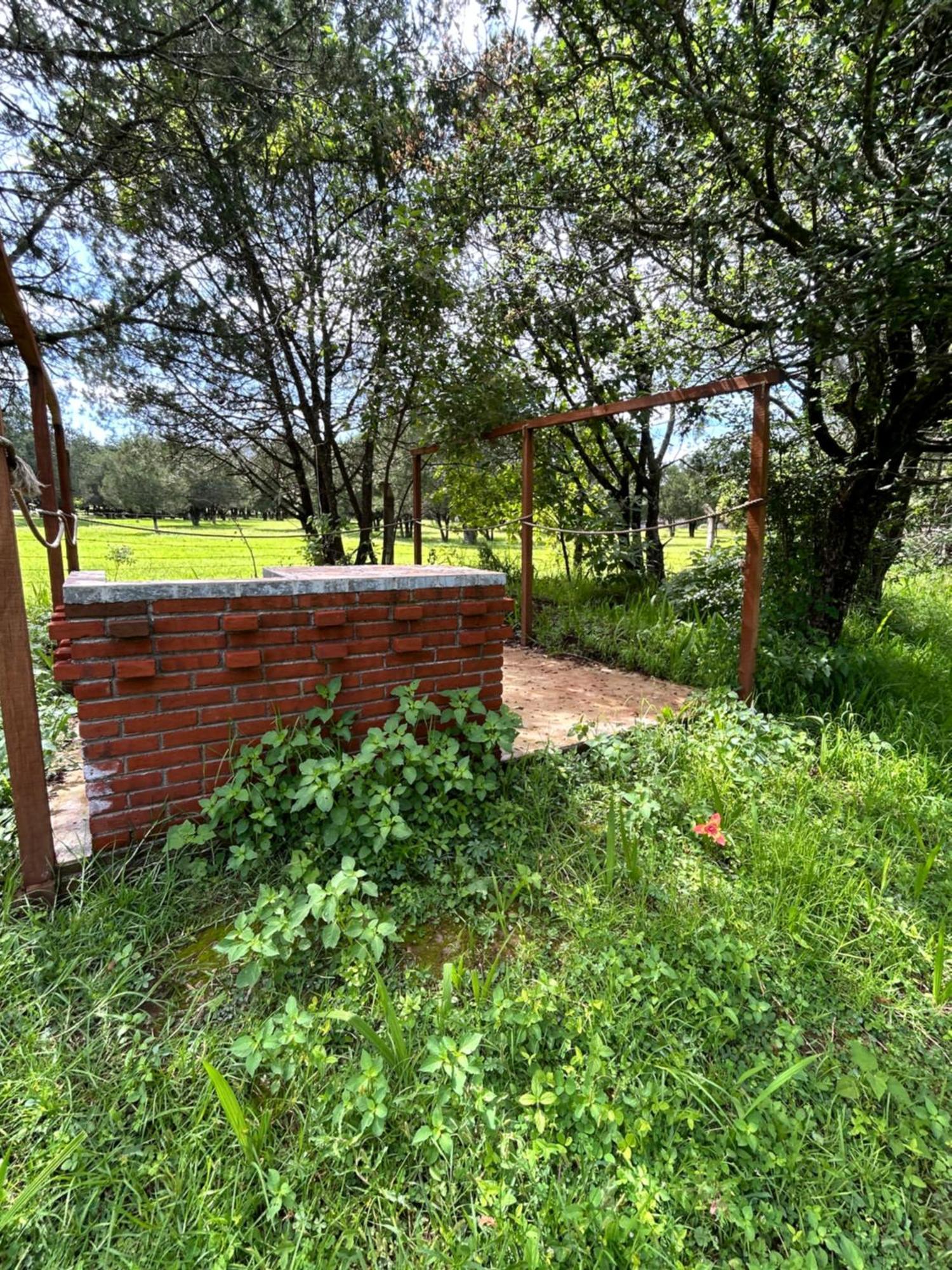 Cabanas La Victoria By Gestores Huasca de Ocampo Exteriör bild