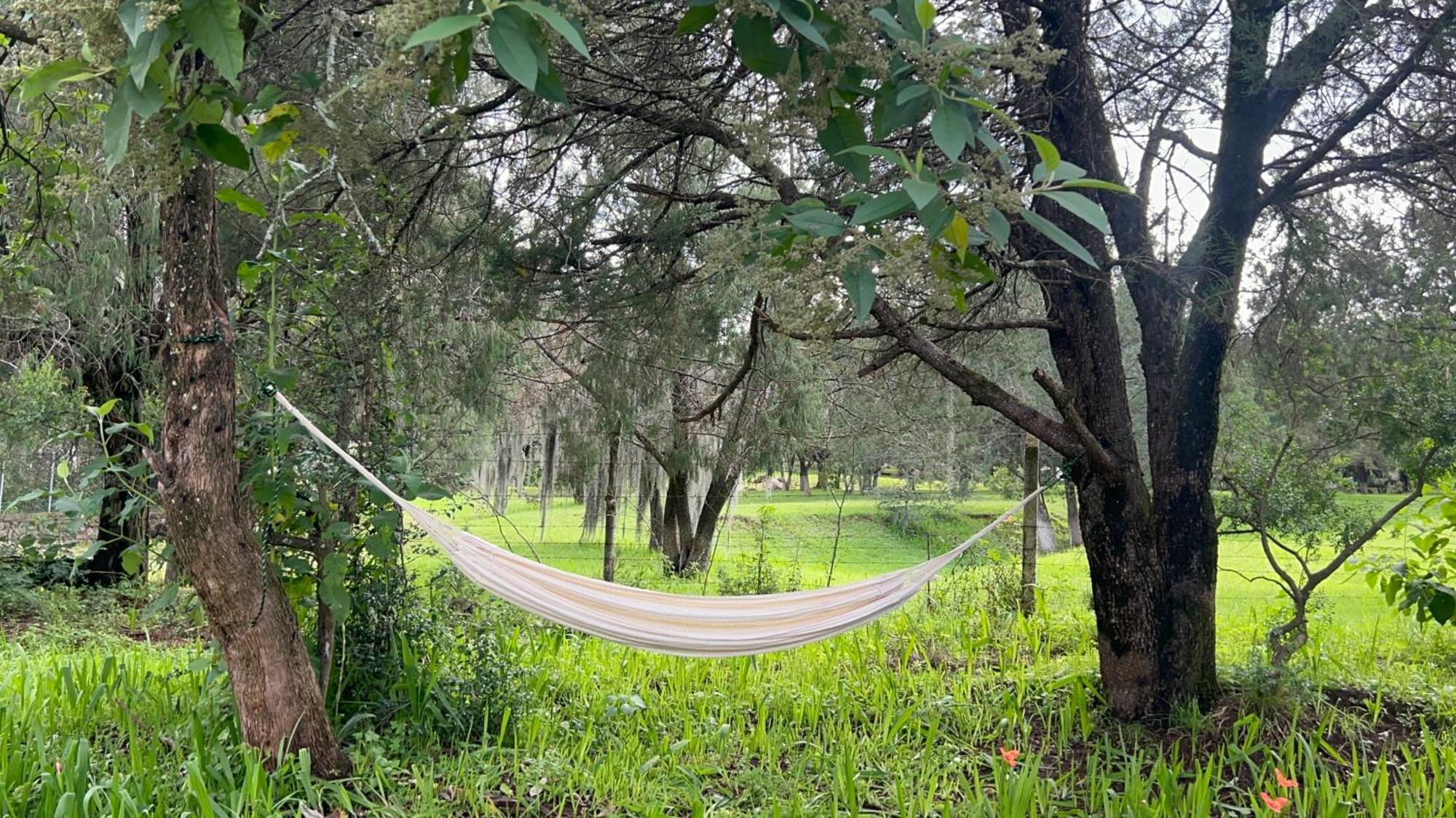 Cabanas La Victoria By Gestores Huasca de Ocampo Exteriör bild